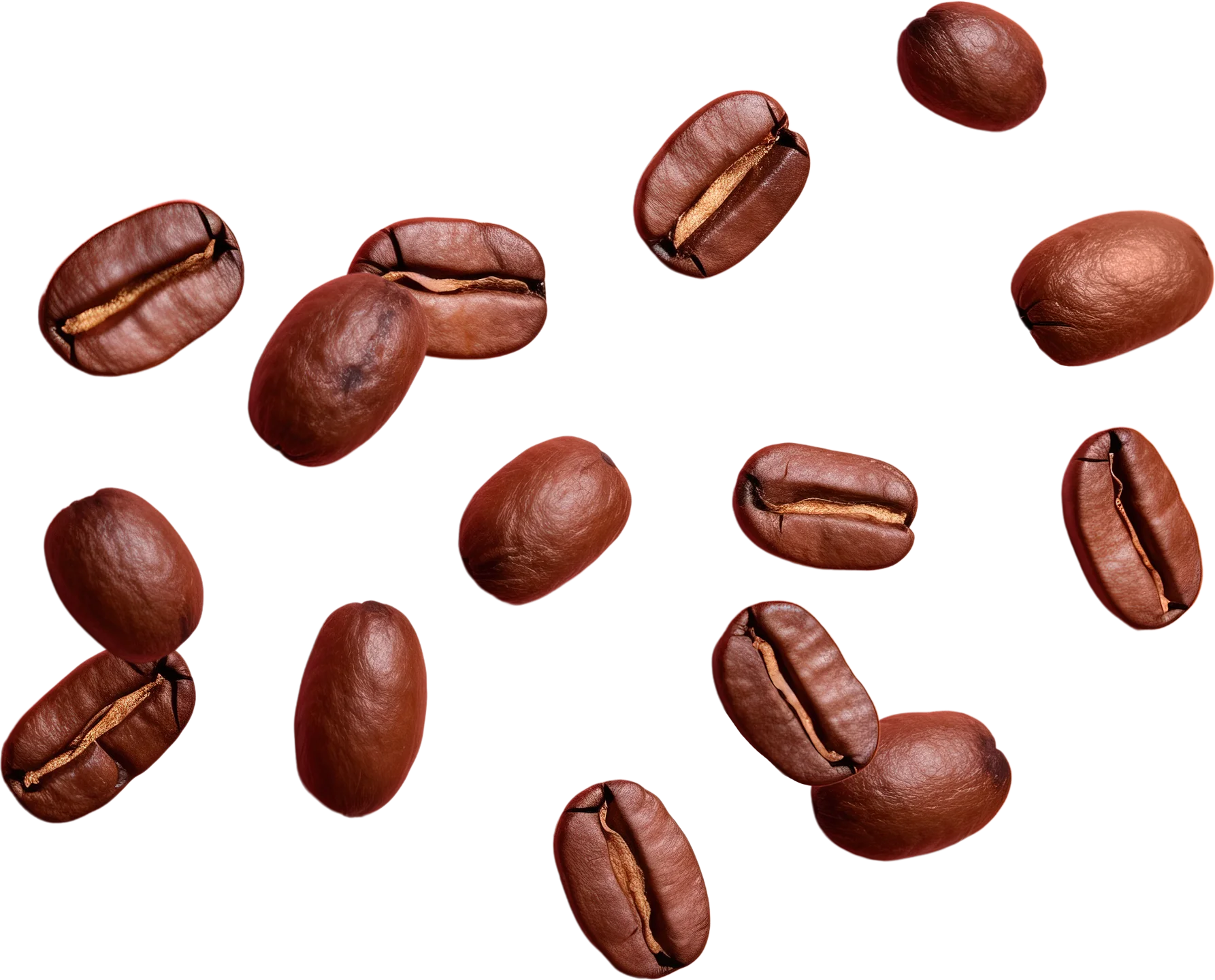 커피콩